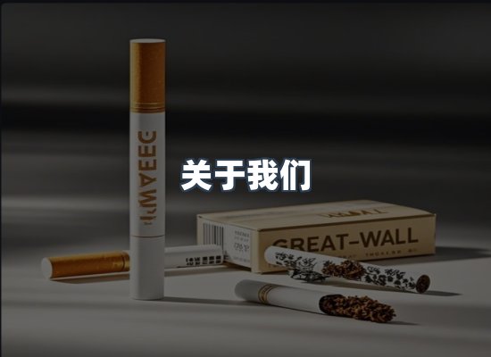 关于我们